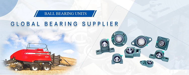 High Quality Ss-Ucppl206 Plastic Pillow Block Bearing Manufacturers