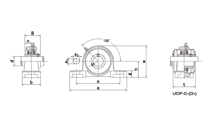 High Quality Ss-Ucppl206 Plastic Pillow Block Bearing Manufacturers