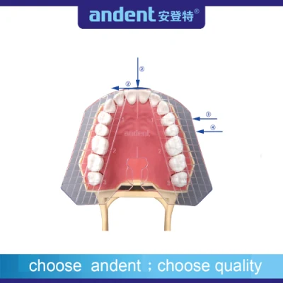 Placa Guia Transparente Dentária para Dentes